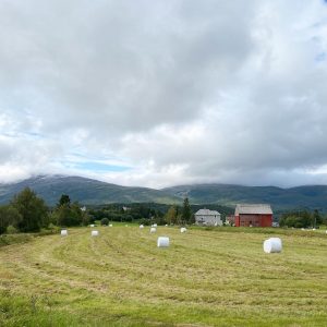 Et jorde med traktoregg med en gård i bakgrunnen. Foto.